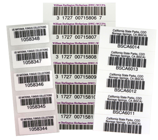 Herbarium Label Examples