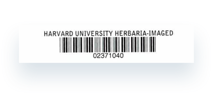 Slide Label for Library Book